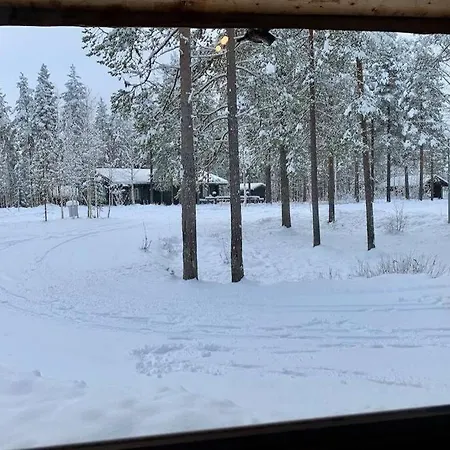 Daire Kelogornitsa - Levikeskus 2 Km - Bus 300 M