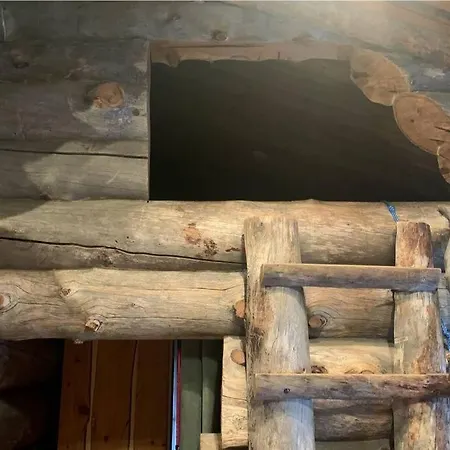 Kelogornitsa Kittilä