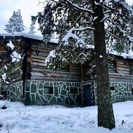 Kelogornitsa - Levikeskus 2 Km - Bus 300 M Daire *