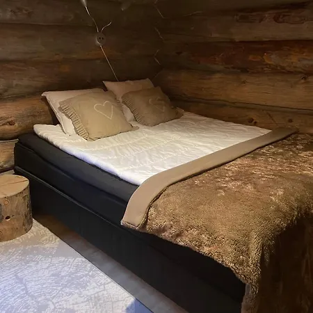 Kelogornitsa アパート *