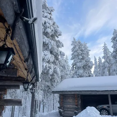 Kelogornitsa - Levikeskus 2 Km - Bus 300 M