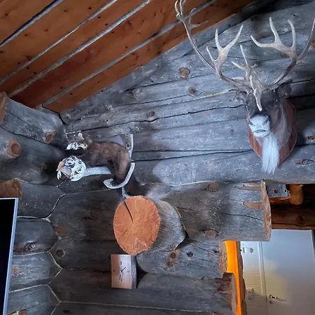 公寓 Kelogornitsa 基蒂莱