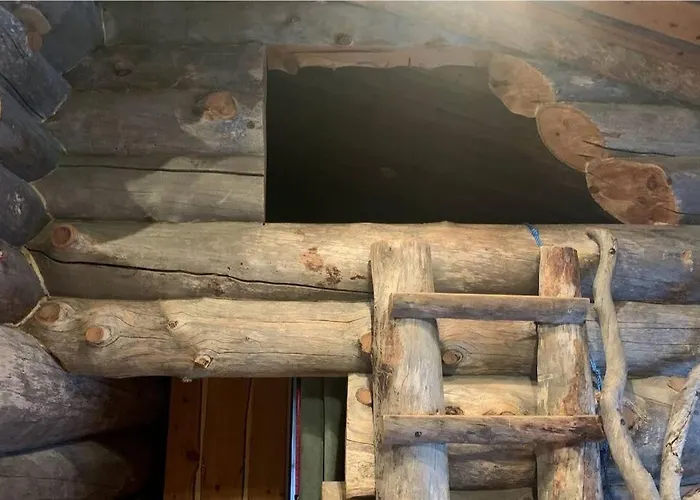 Kelogornitsa - Levikeskus 2 Km - Bus 300 M Kittilä