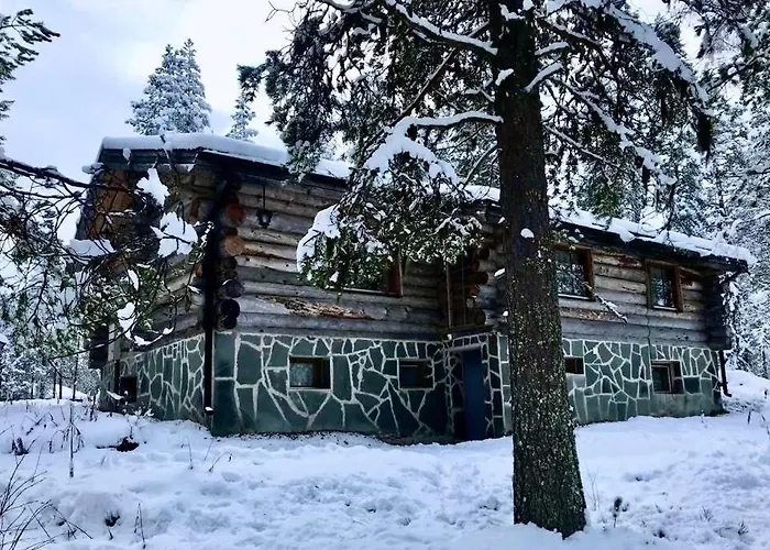 Kelogornitsa - Levikeskus 2 Km - Bus 300 M アパート *