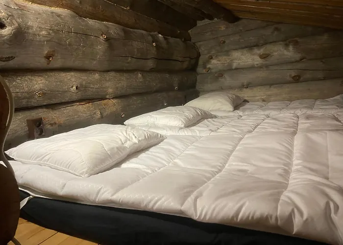 Kelogornitsa - Levikeskus 2 Km - Bus 300 M Kittilä