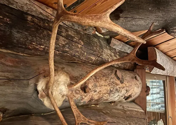 アパート Kelogornitsa - Levikeskus 2 Km - Bus 300 M