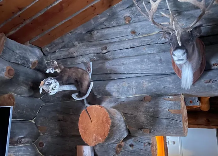 アパート Kelogornitsa - Levikeskus 2 Km - Bus 300 M Kittilä