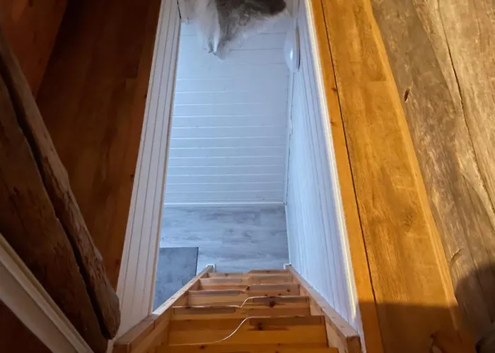 Kelogornitsa - Levikeskus 2 Km - Bus 300 M アパート