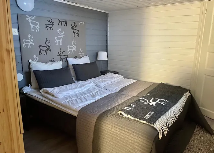 Kelogornitsa - Levikeskus 2 Km - Bus 300 M Kittilä