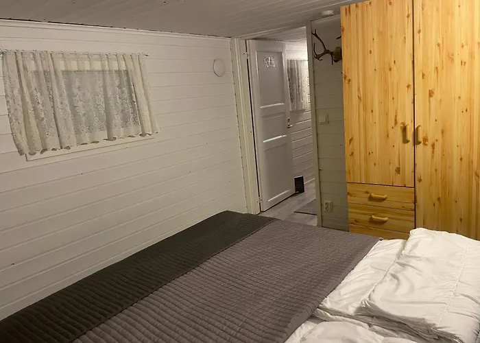 Kelogornitsa - Levikeskus 2 Km - Bus 300 M